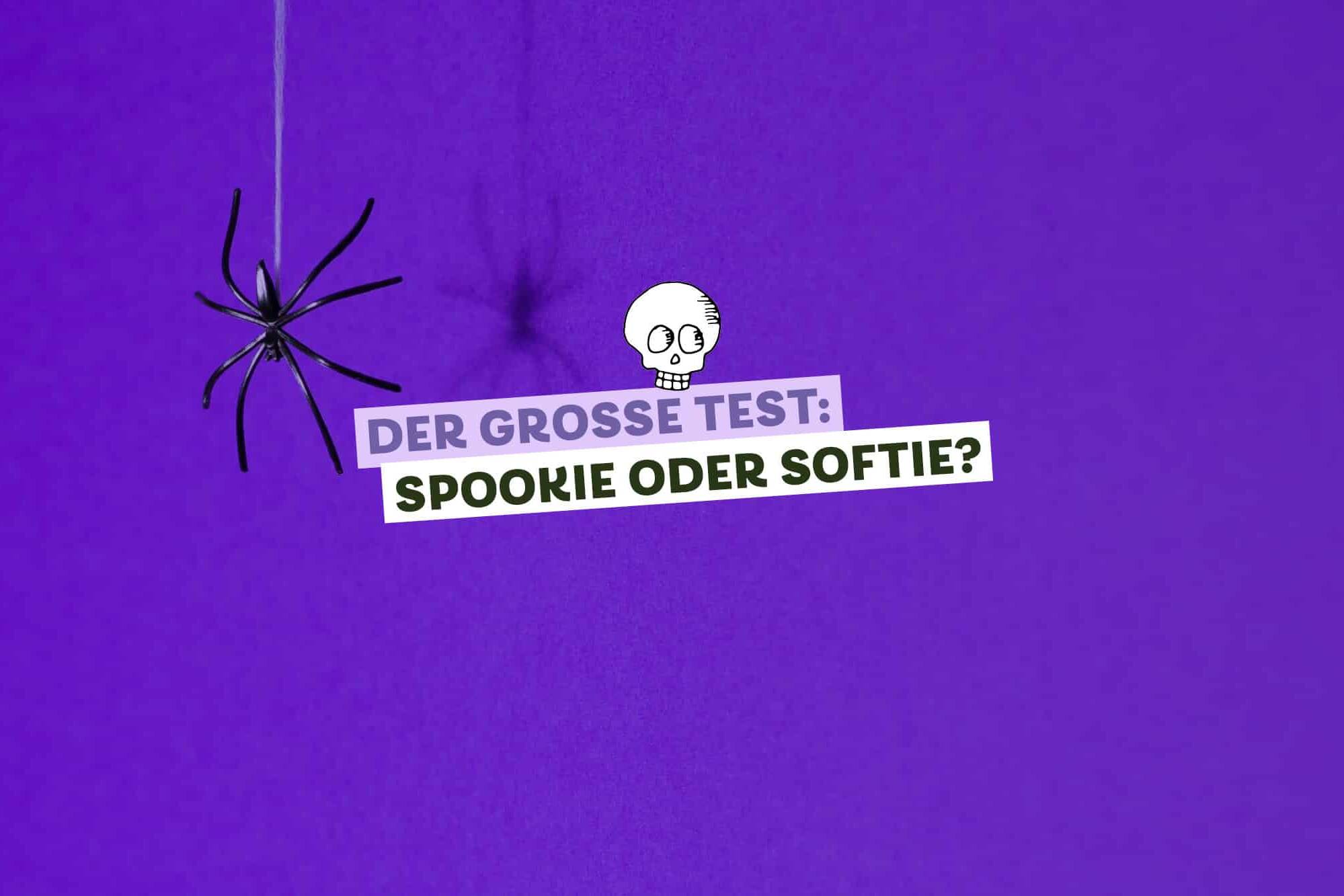 Plastikspinne seilt sich von oben ab vor lila Wand, Text: Der große Test – Spookie oder Softie?