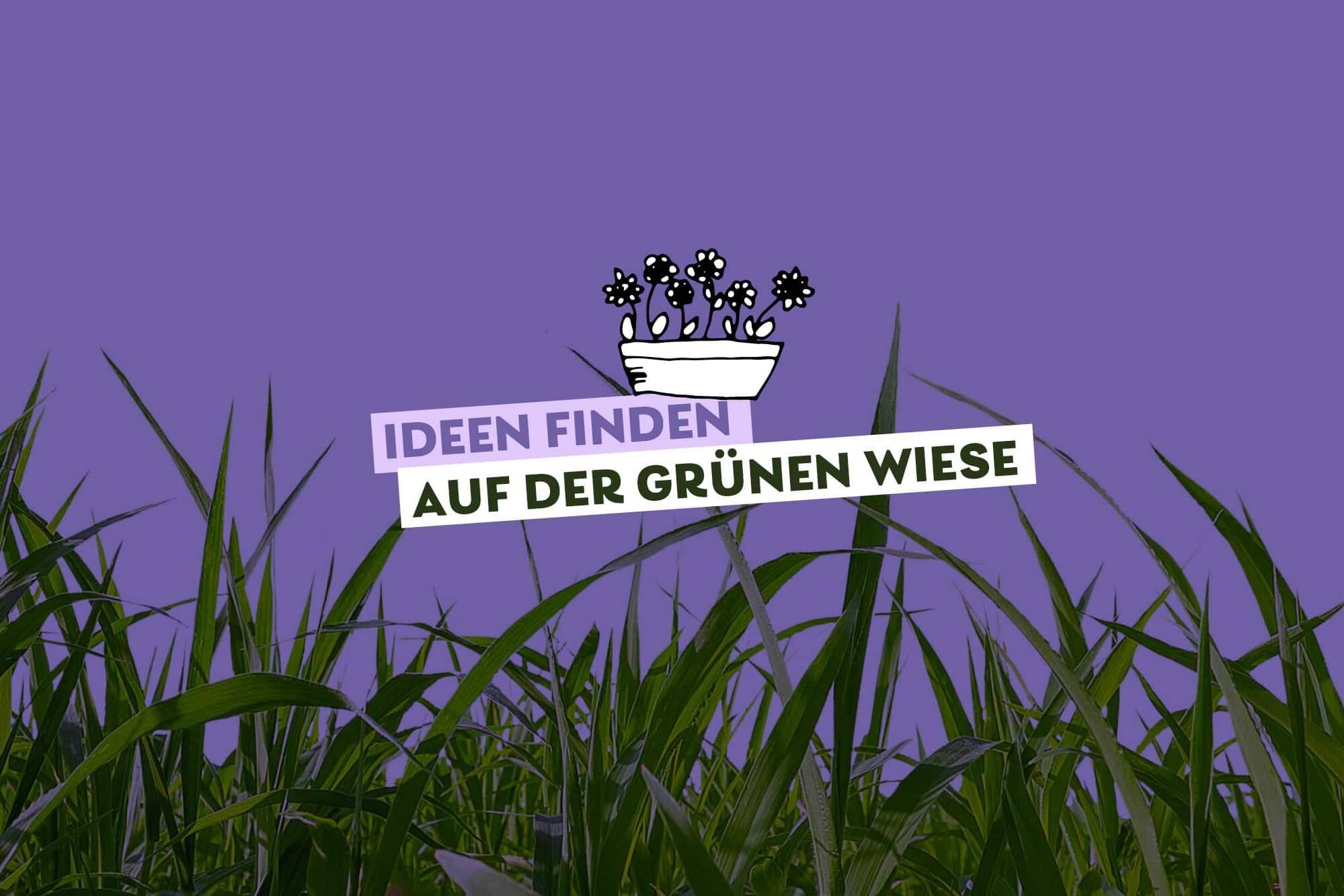 grüne Grashalme auf lila Farbfläche, Text darauf: Ideen finden auf der grünen Wiese